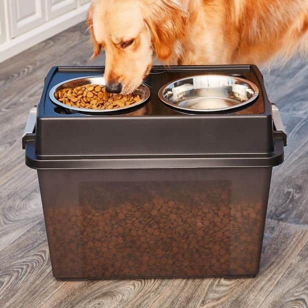 A view of a brown dog eating out of a storage container