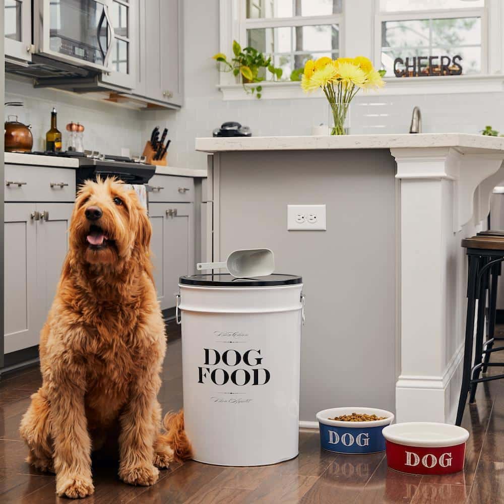 A view of a furry brown dog sitting next to a dog food storage cannister