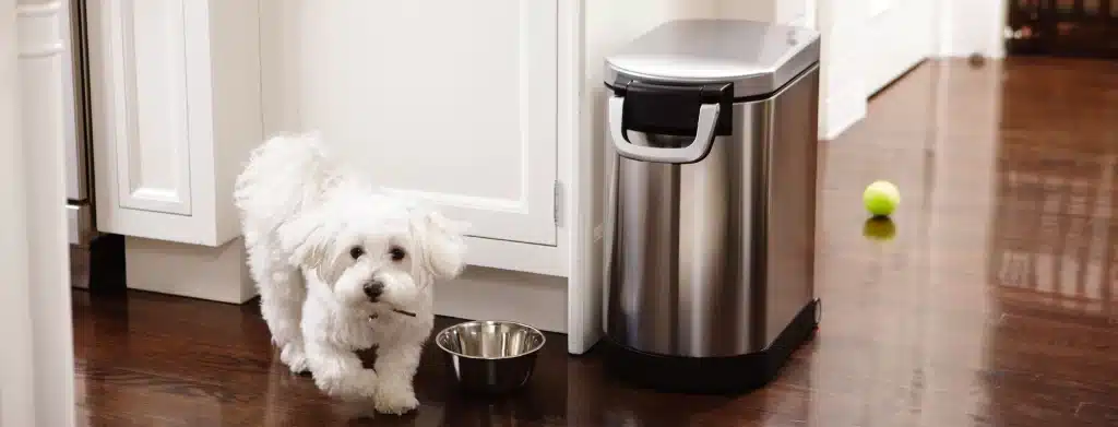 A view of a white furry dog beside a Simple Human Pet Medium Stainless Steel Dog Food Storage Container