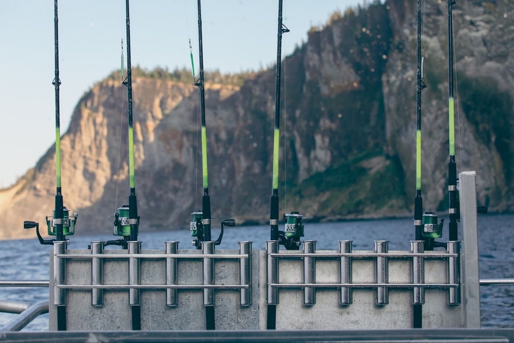 A view of a fishing poles lined up