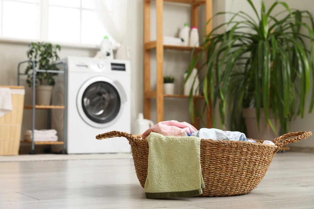 A view of a basket with clothes in a laundry