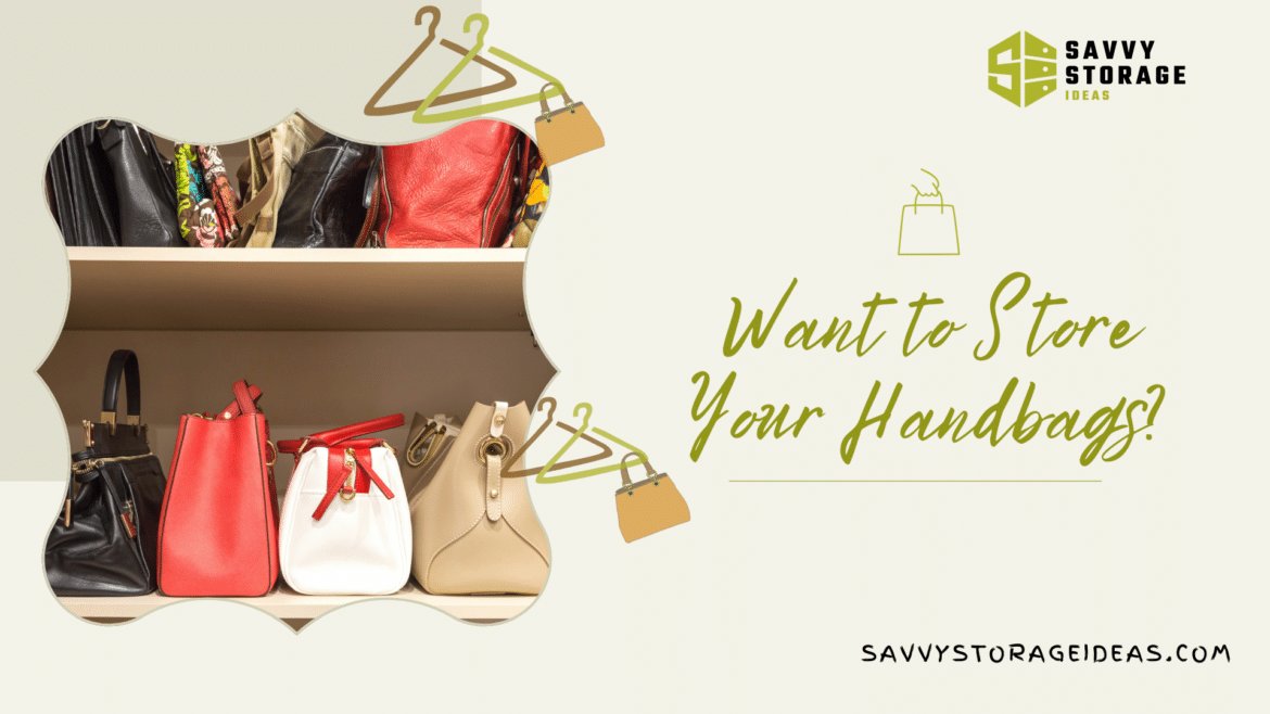 Want to Store Your Handbags
